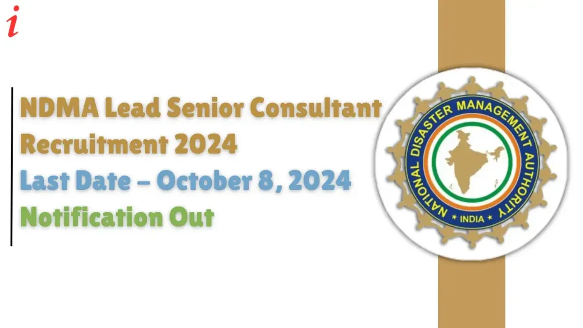 NDMA Lead Senior Consultant Recruitment 2024